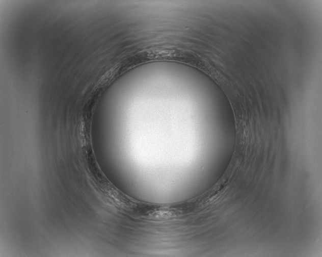 X0000053110224200508081234