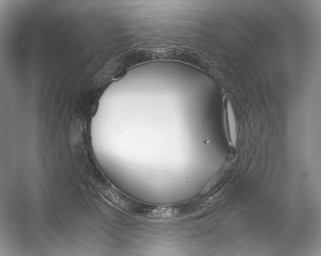 X0000053110225200508081234