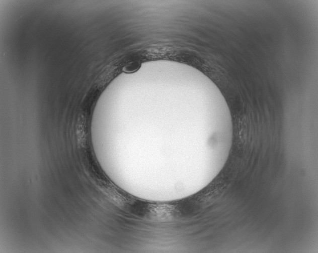 X0000053110226200508081234