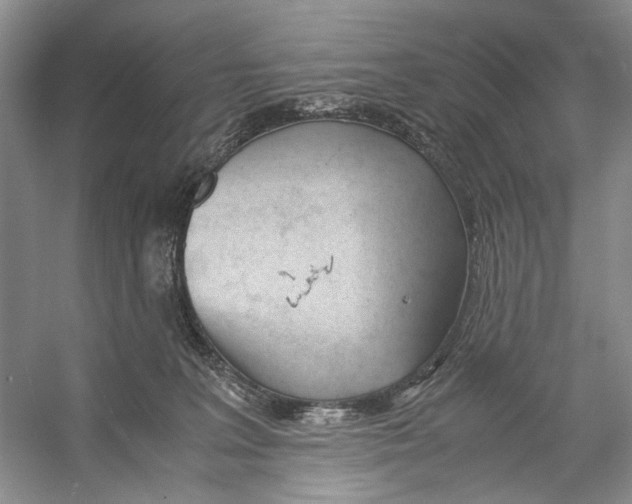 X0000053110227200508081234