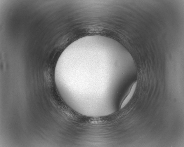 X0000053110228200508081234