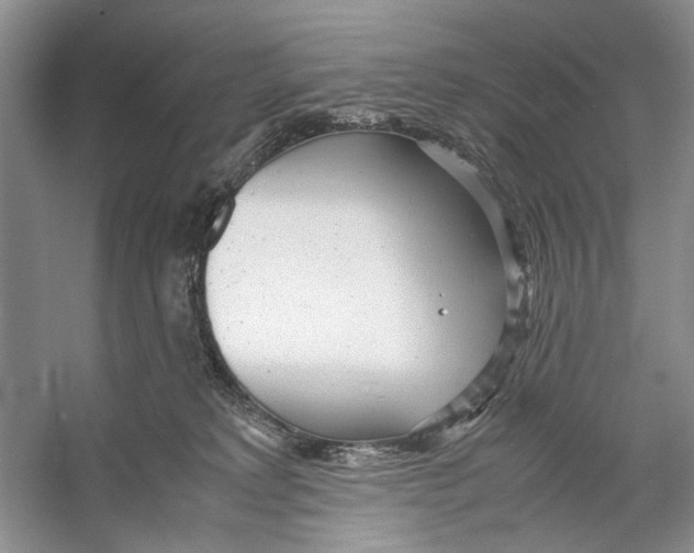 X0000053110229200508081234