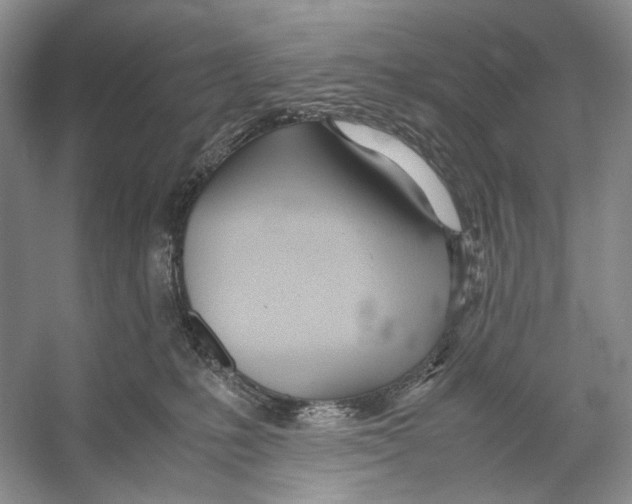 X0000053110231200508081234