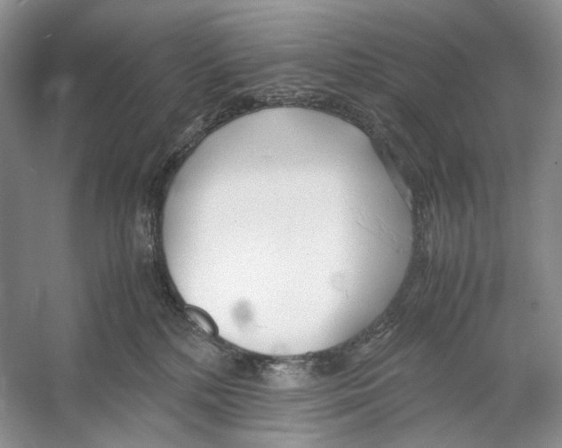 X0000053110232200508081234