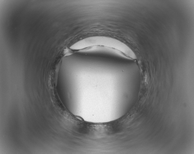 X0000053110233200508081234