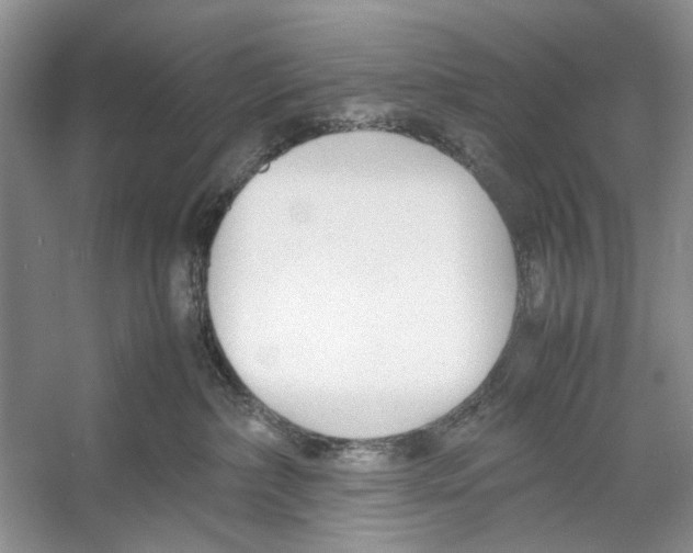 X0000053110236200508081233