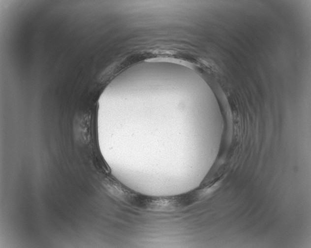 X0000053110237200508081233