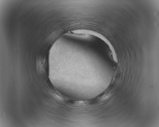 X0000053110239200508081233