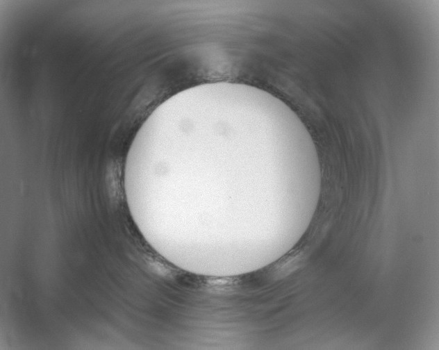 X0000053110240200508081233