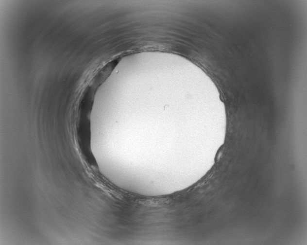 X0000053110241200508081233