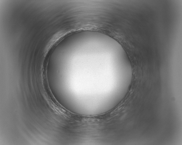 X0000053110242200508081233