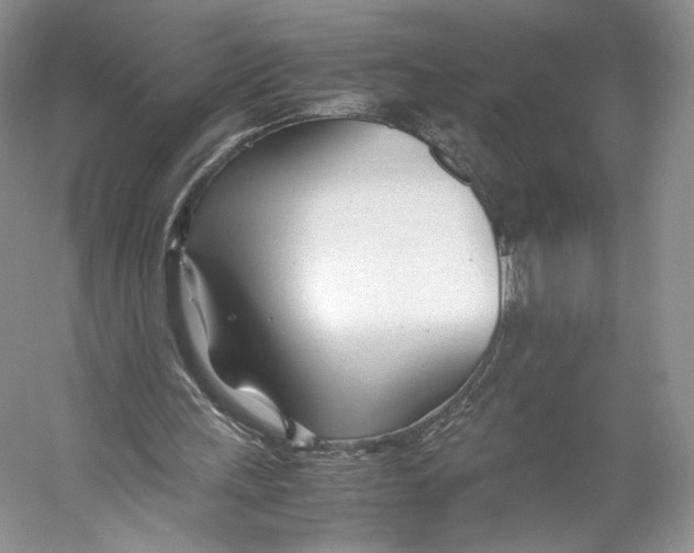 X0000053110243200508081233