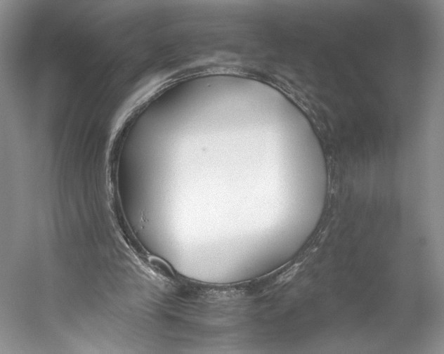 X0000053110245200508081233