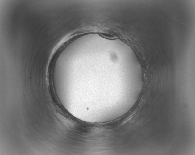 X0000053110246200508081233