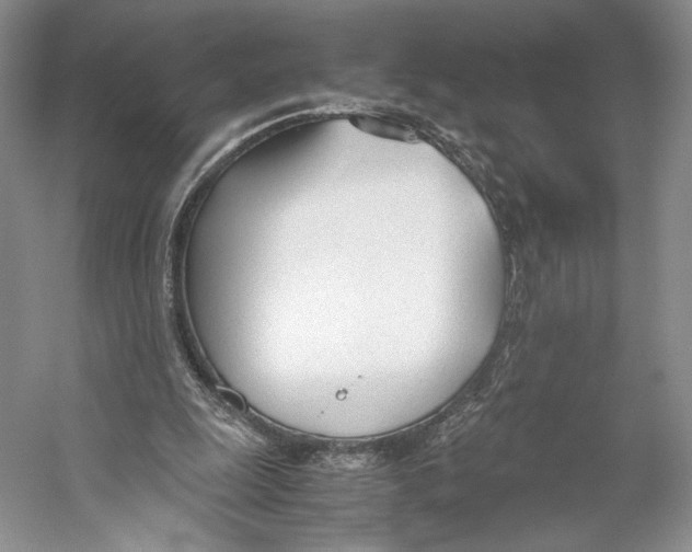 X0000053110247200508081233