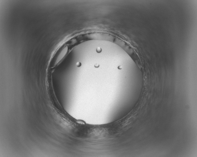 X0000053110248200508081233