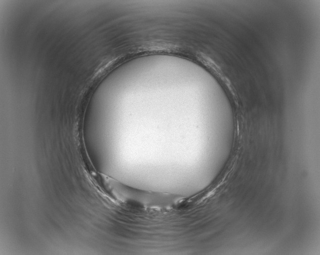 X0000053110249200508081233