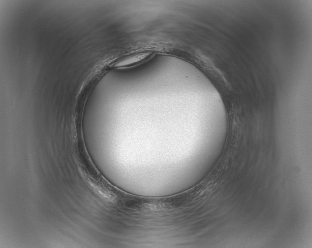 X0000053110250200508081233