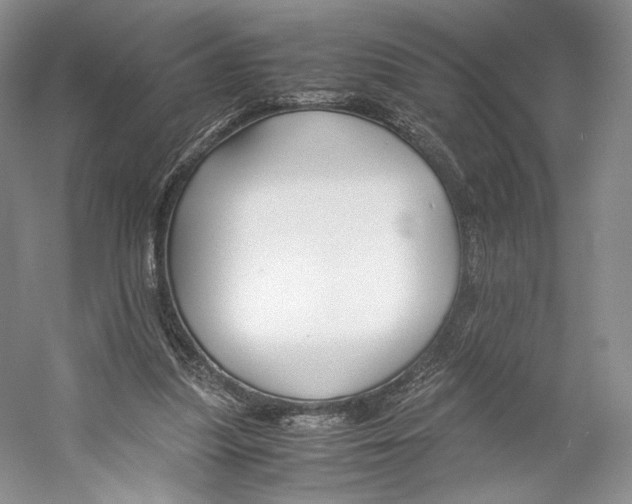 X0000053110251200508081233