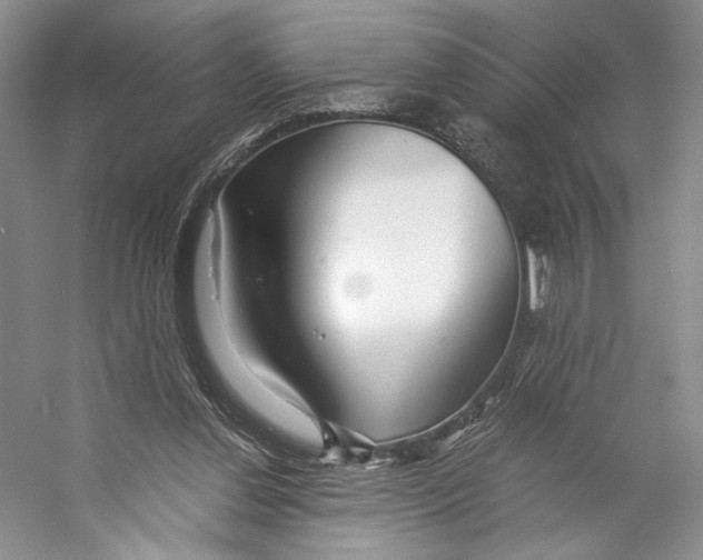 X0000053110252200508081233