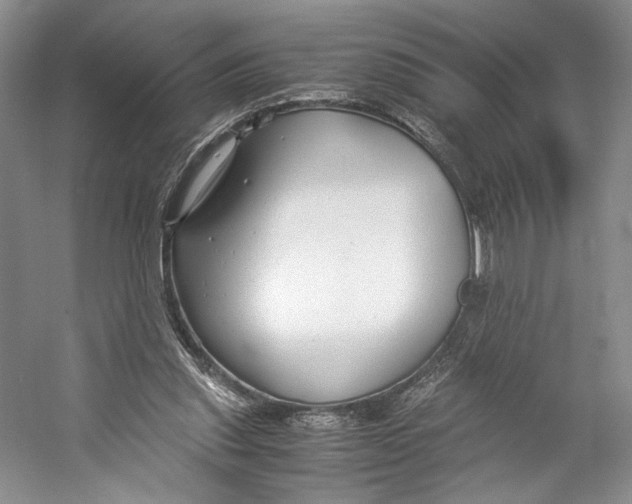 X0000053110253200508081233