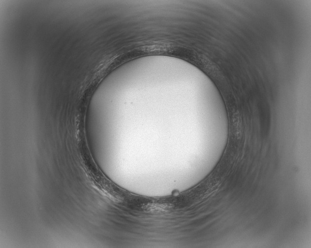 X0000053110255200508081233