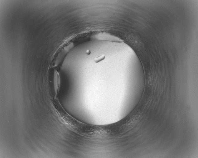 X0000053110256200508081233