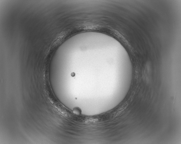 X0000053110257200508081233