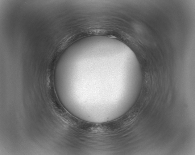 X0000053110259200508081233