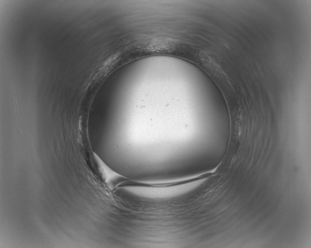 X0000053110260200508081233