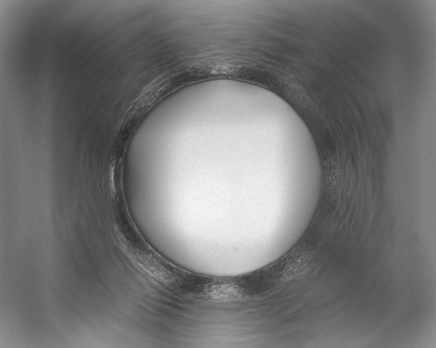 X0000053110262200508081233