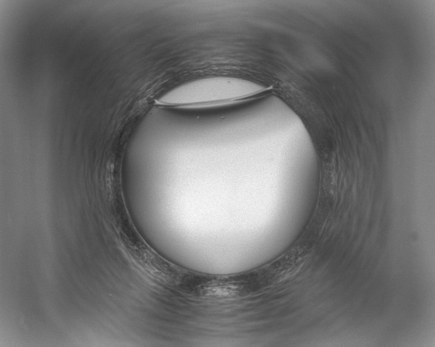 X0000053110263200508081233