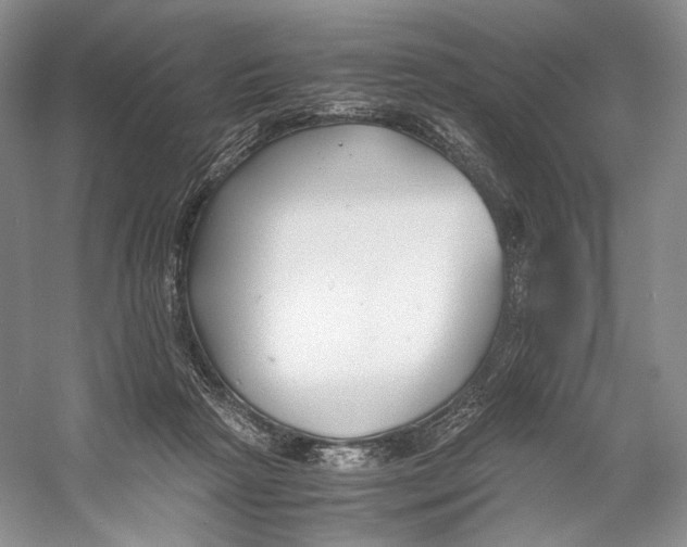 X0000053110265200508081233