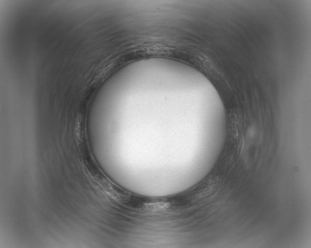 X0000053110266200508081233