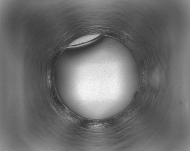 X0000053110267200508081233