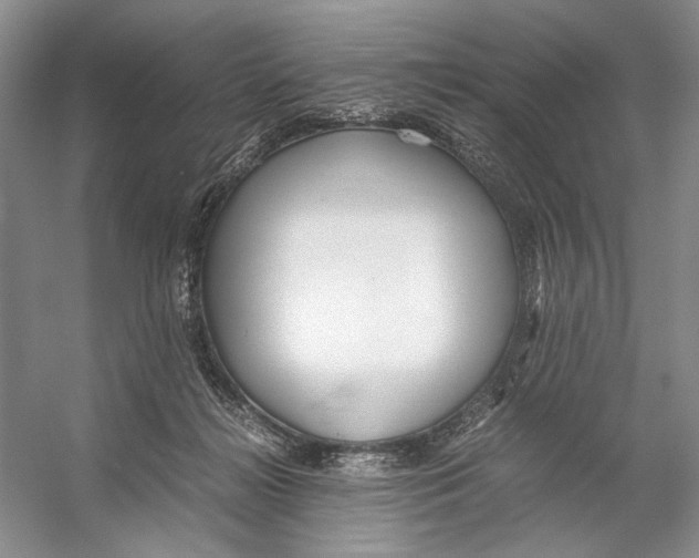 X0000053110268200508081233