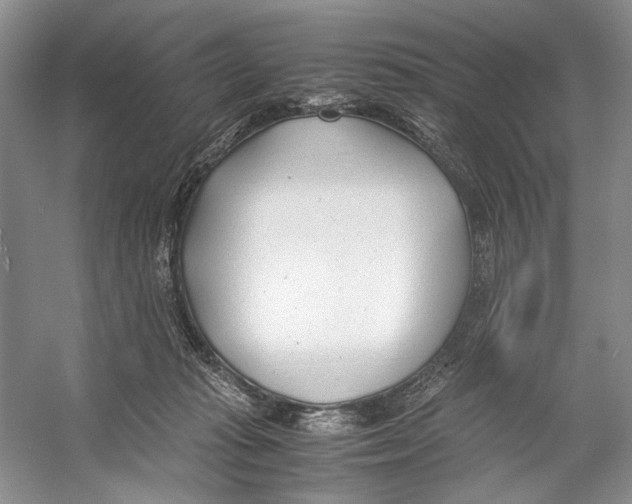 X0000053110269200508081233