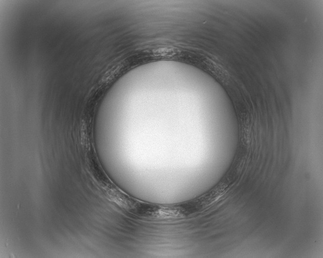 X0000053110270200508081233