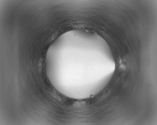 X0000053110271200508081233