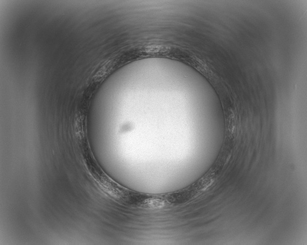 X0000053110272200508081233