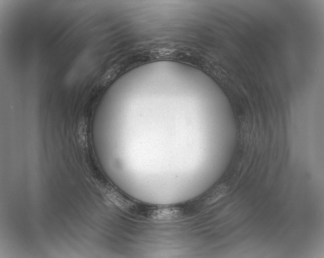 X0000053110274200508081233