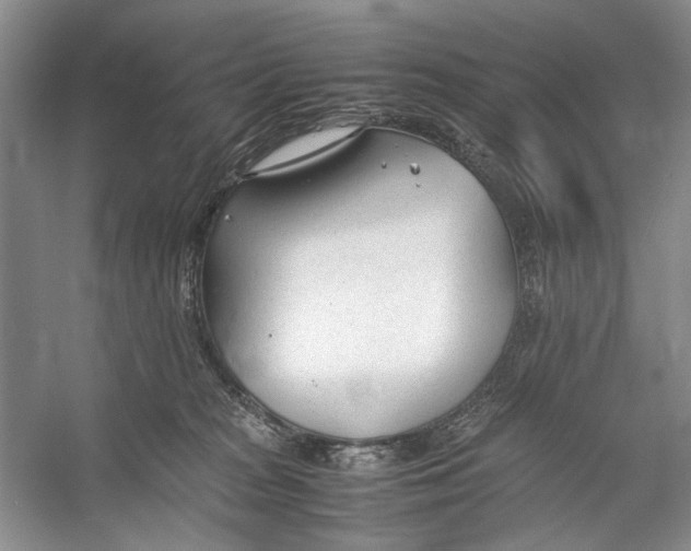 X0000053110277200508081233