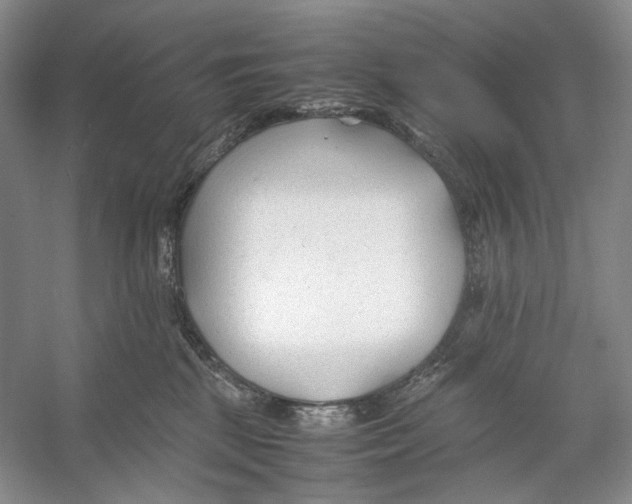 X0000053110281200508081233