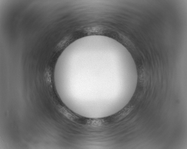 X0000053110282200508081233