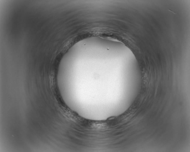 X0000053110283200508081233