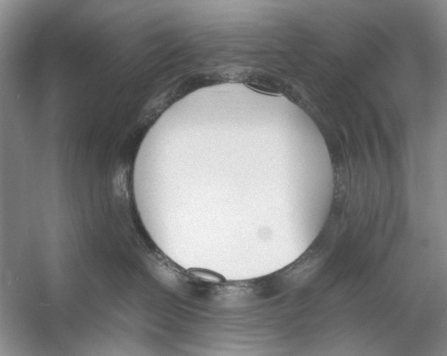 X0000053110286200508081233