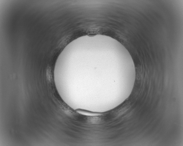 X0000053110287200508081233