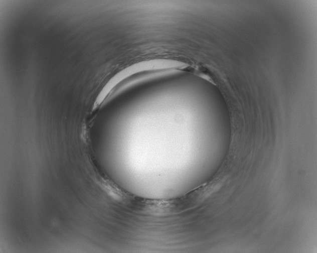 X0000053110288200508081233