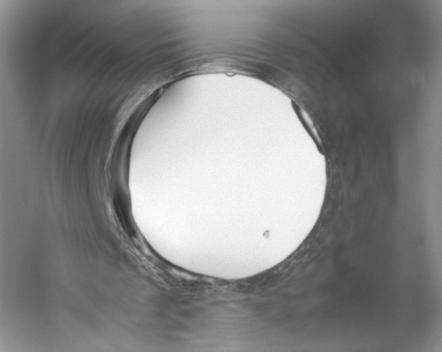 X0000053110289200508081233