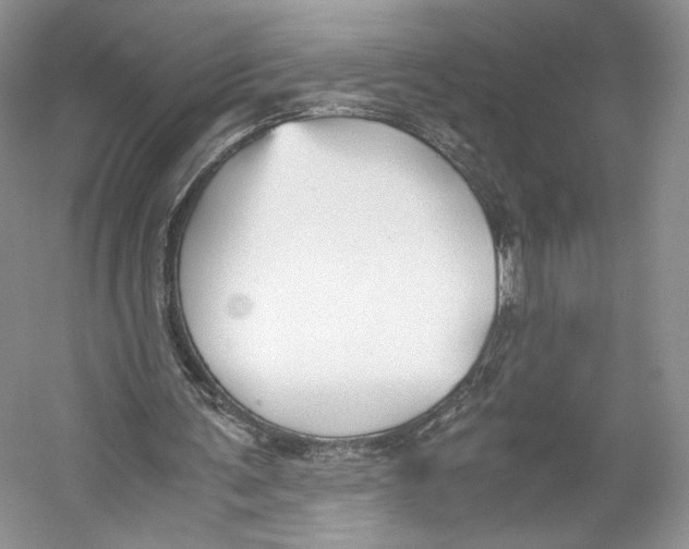 X0000053110291200508081233